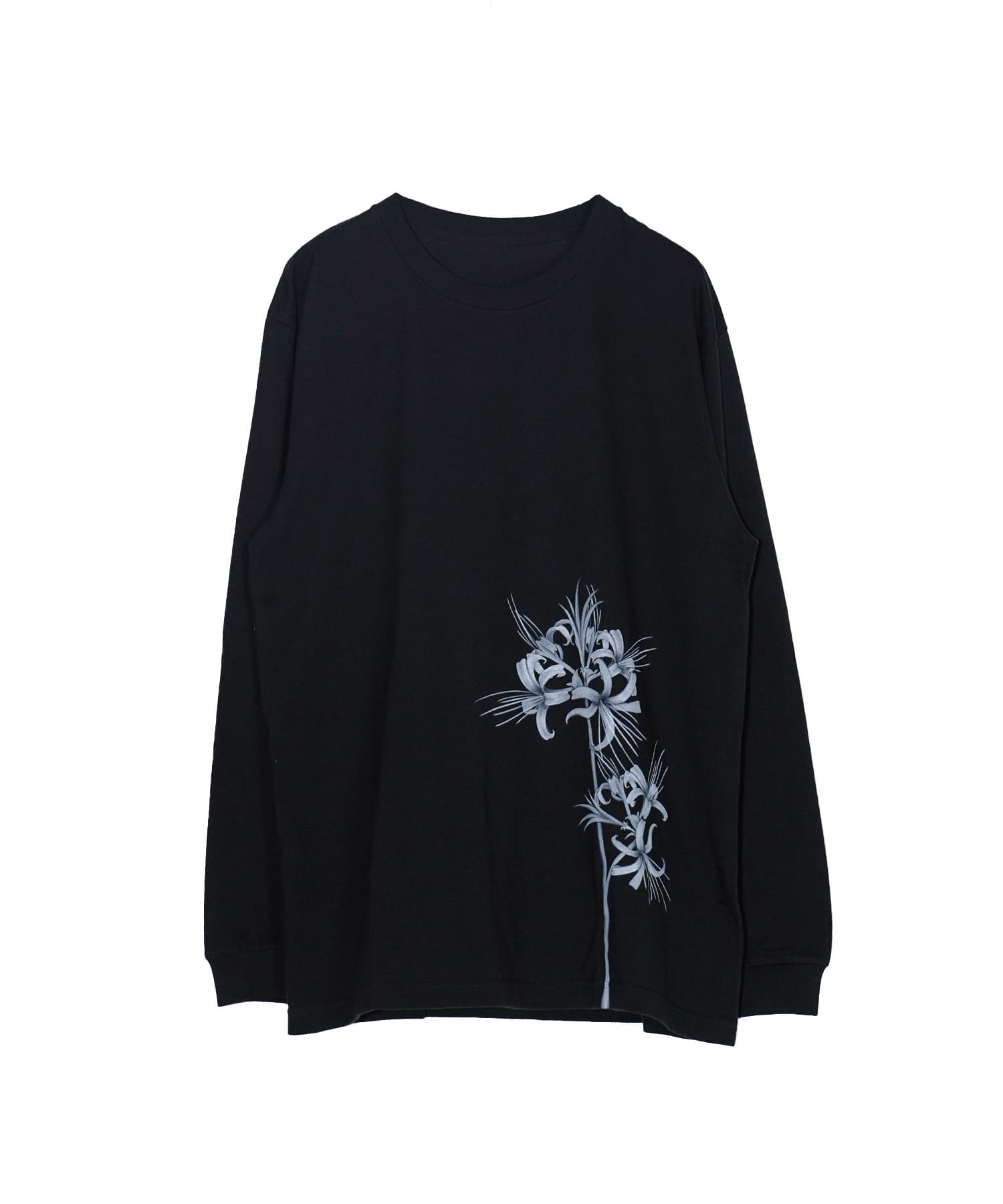 Lycoris radiata tee