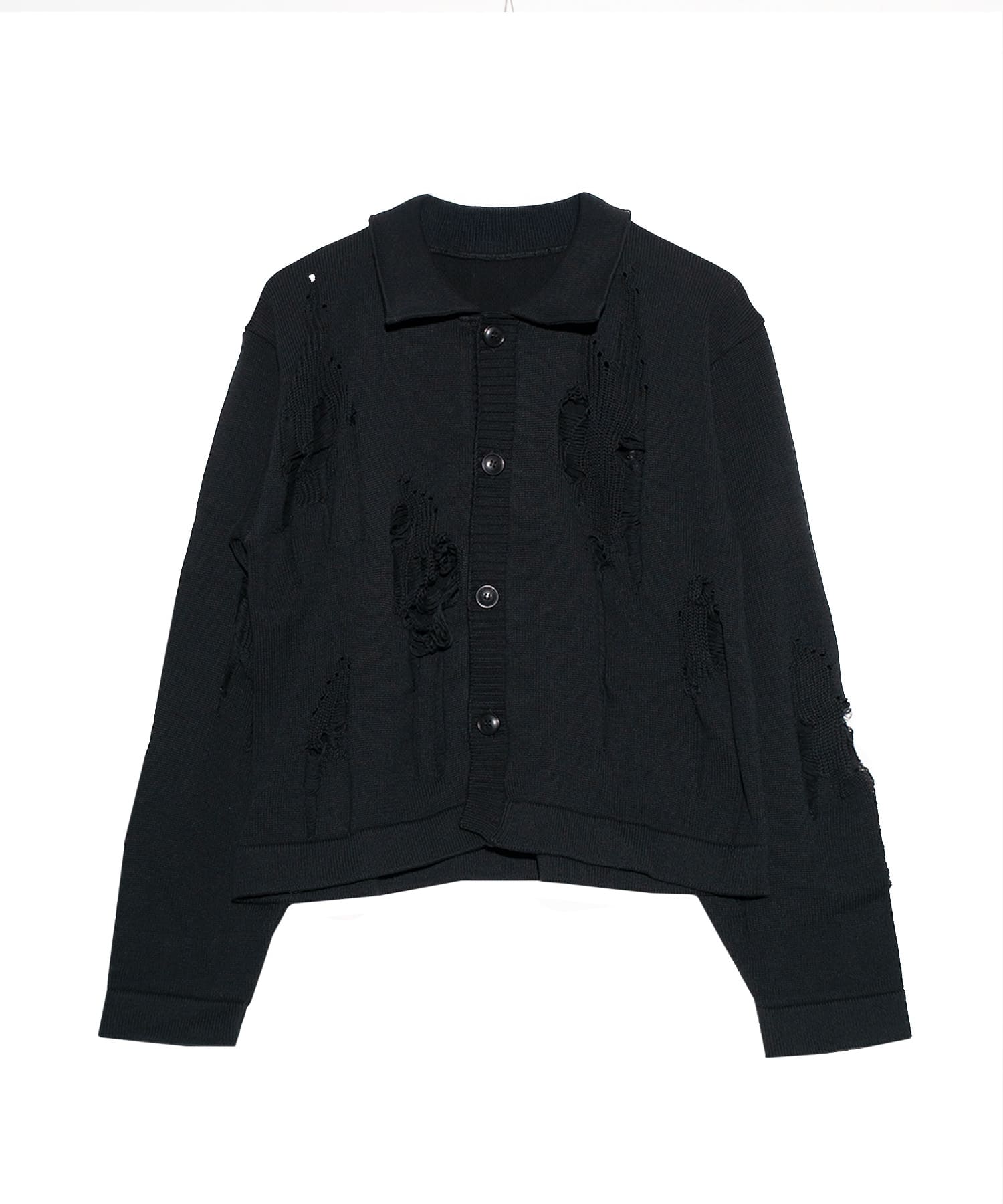 Prionailurus boro knit